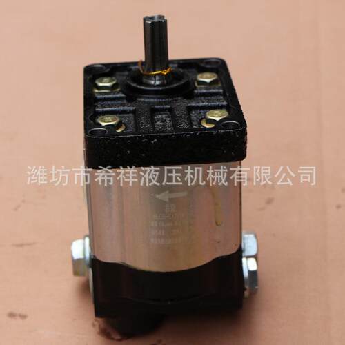 挖掘机专用齿轮泵 源头厂家多型号不锈钢齿轮泵 小型齿轮油泵