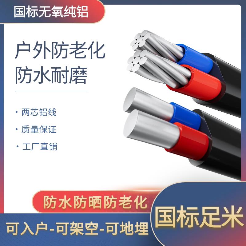 铝线电线国标2芯防老化4 6 10 16 25平方家用户外铝芯护套电缆线