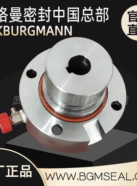 武汉博格曼HPA300-300-630杭州碱泵机械密封机封轴封耐高温
