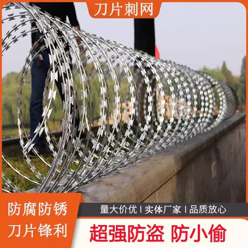 刀片刺绳围墙防爬刺钉带刺铁丝防护网墙头防盗刺丝滚笼钢丝围栏网