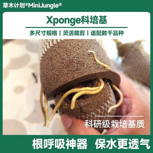 【Xponge科培基】无土多肉海绵水培基质懒人花盆代替水苔手工造型