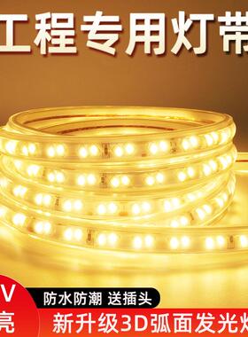 低压36VLED灯带2835双排户外防水线型工程隧道地下室养殖工程专用