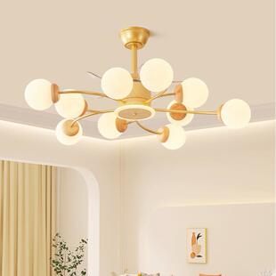 客厅魔豆吊灯原木色风扇灯卧室摇头静音电扇吸顶灯全屋灯具