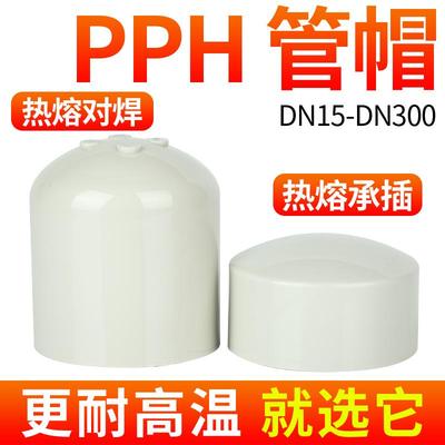 戎生PPH管堵管帽PPR堵头热熔对焊PP塑料管件配件耐高温20 25 32