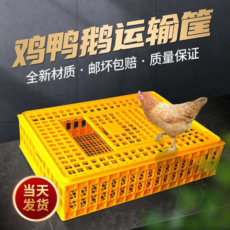 通达塑料鸡笼运输笼成鸡周转箱鸡鸭鹅兔笼鸽笼家用鸡筐加厚鸡笼子