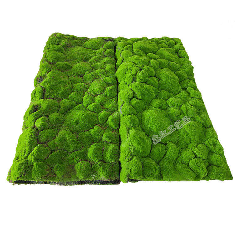 墙假仿真苔藓背景橱窗草坪装饰植物打底草皮微植青苔墙绿景观造景
