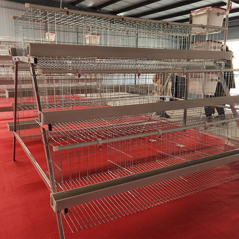 阶梯蛋鸡笼养殖场专用笼鸡笼子阶梯式蛋鸡笼养鸡设备养殖鸡笼全套
