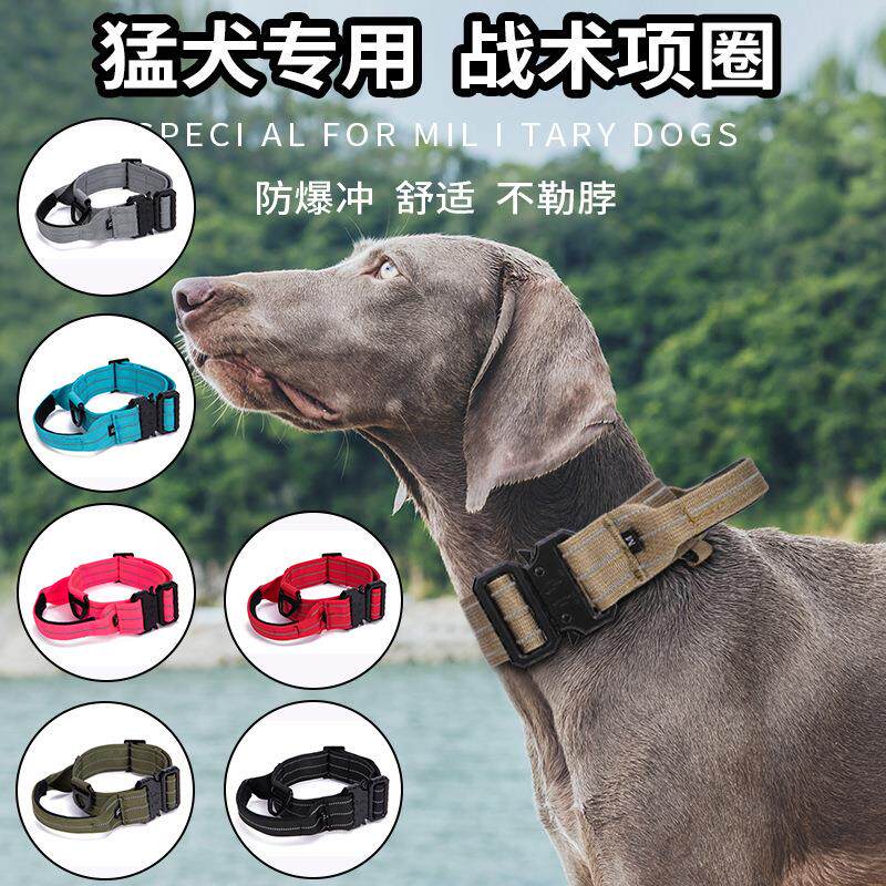 宠物项圈中大型狗狗项圈金毛德牧哈士奇反光可调节尼龙战术项圈