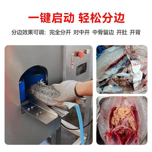 晟锋水产加工整鱼开半机 冷冻鲈鱼娃娃鱼开边机罗非鱼猪脚切半机