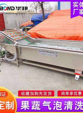 厂家供应西红柿辣椒清洗机不锈钢气泡清洗机果蔬高压清洗设备