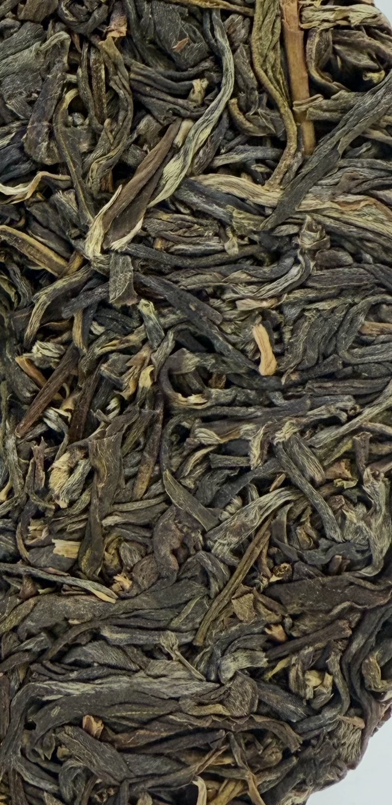 2023年易武秘境普洱生普茶 易武產區的大樹料子 普洱茶 BUASHOP普洱老茶