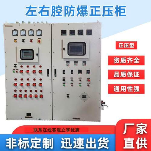 正压型左右腔防爆正压柜不锈钢防爆电器控制柜正压型防爆配电箱