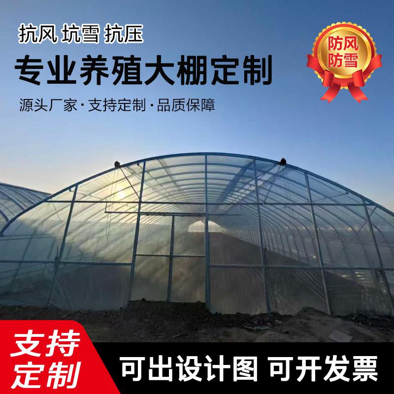 温室大棚骨架养殖蔬菜育苗防寒大棚钢管支架配件大全塑料大棚施工