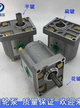 高压齿轮泵 液压油泵CBN CBT-E F G304/306/310/314/316/320/325