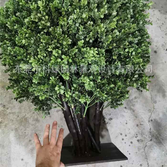 仿真黄杨木杨CTH枝叶圣生白蒂树假果枝福禄卉桐叶室插梅花摆件花