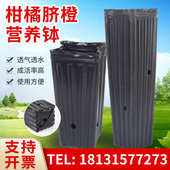 柑橘脐橙营养钵绿植苗圃育苗盆长筒异形育苗杯塑料育秧盘方形橘