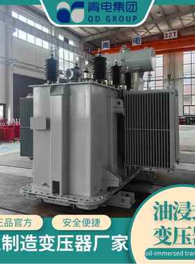 青电变压器厂 S13-M-400 500 630KVA油浸式变压器S20、S22系列