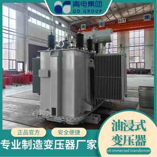 400 S13 S22系列 630KVA油浸式 变压器S20 500 青电变压器厂