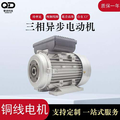 源头厂家单相异步电动机YL系列YL100L1-2空压机水泵家用机械配套