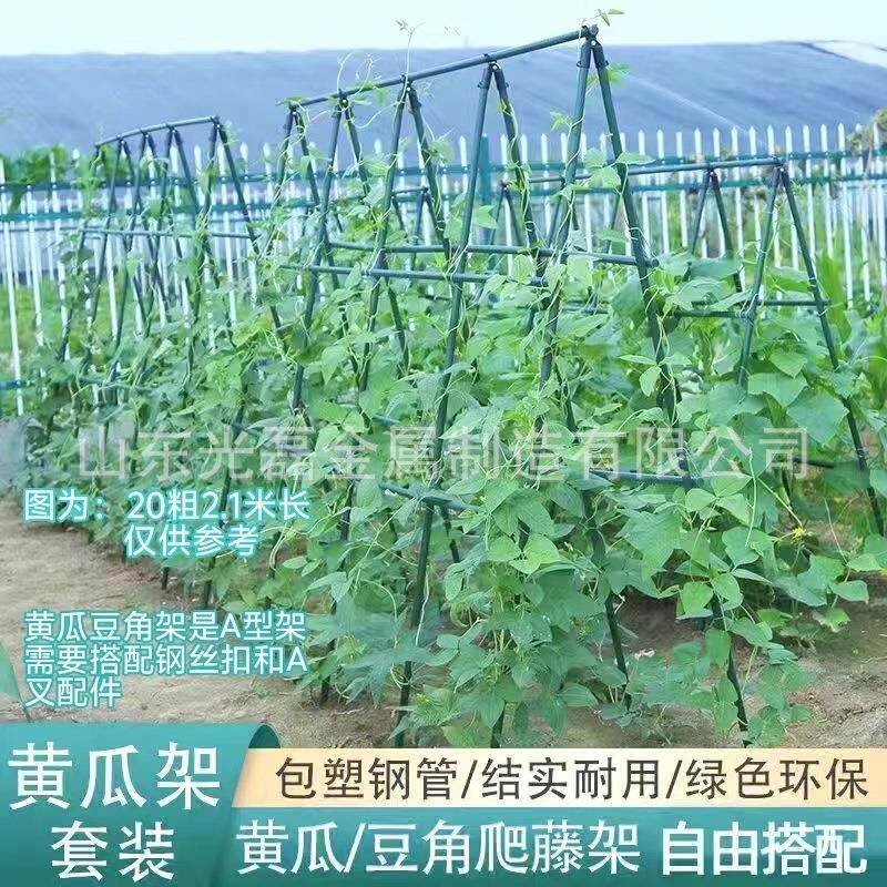 爬藤支架包塑钢管园艺花架黄瓜豆角西红柿架丝瓜葡萄架50支包邮