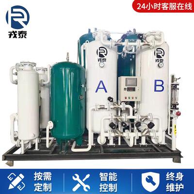 100方99.99制氮机全自动变压吸附制氮气设备工业用氮气发生器