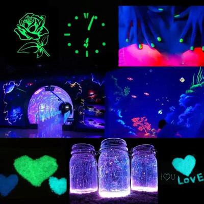 12 Colors Glow in The Dark Powder Skin Safe Epoxy Resin Lumi