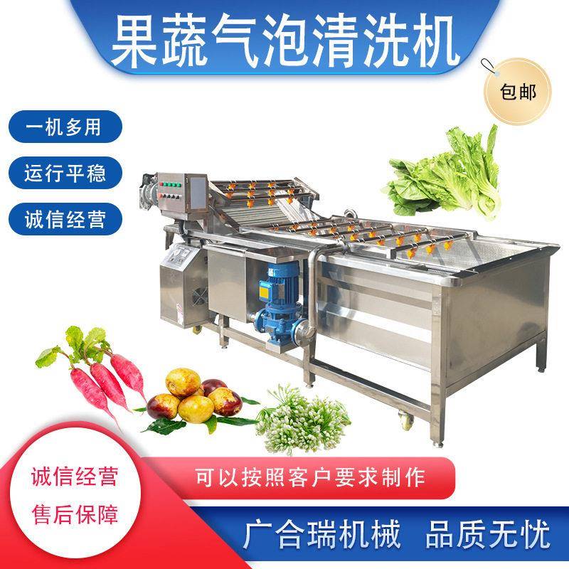 全自动果蔬气泡清洗机白菜荷兰豆圣女果土豆紫薯喷淋清洗设备