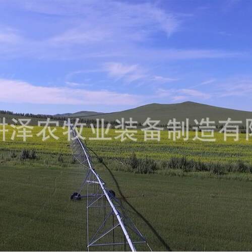 DYP指针式喷灌 固定式灌溉设备 喷灌范围广 大面积浇灌
