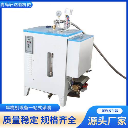 蒸汽发生器 立式商用小型蒸汽锅炉 全自动控制电加热蒸汽发生器