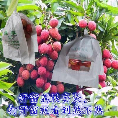 加厚开窗可看莲雾黄皮套袋专用袋蓝莓龙眼果袋桂圆水果纸袋防虫菌