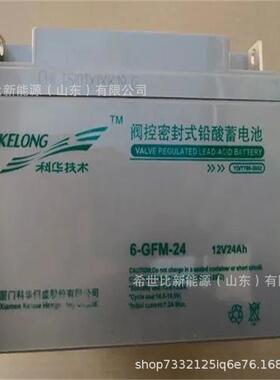 科华蓄电池6-GFM-24型号齐全12V24AH免维护应急电源免维护蓄电池