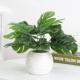 家居室内假绿植盆栽摆设 饰摆件客厅桌面小盆景 北欧ins仿真植物装