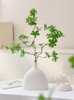 绿色植物马醉酒木挂E53497T0钟假植物高雅无饰障豪华电视柜装饰品