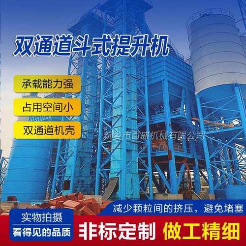 厂家直销双通道斗式提升机水泥厂垂直斗提升机粉料斗提机