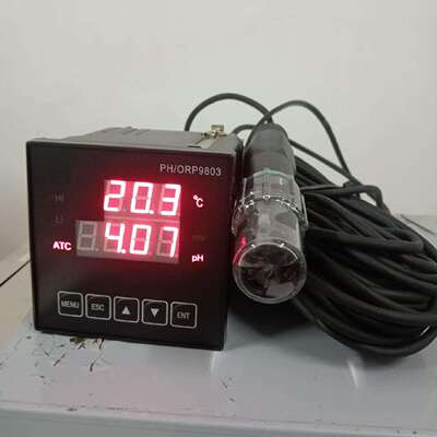 经济型在线PH计 -10米探头 型号:CY22-PHG9803库号：M194418
