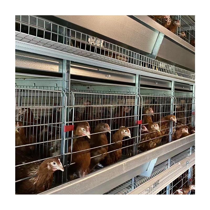 框架蛋鸡笼重叠式鸡笼设备养鸡场用全套鸡笼钢丝全自动鸡笼子厂家