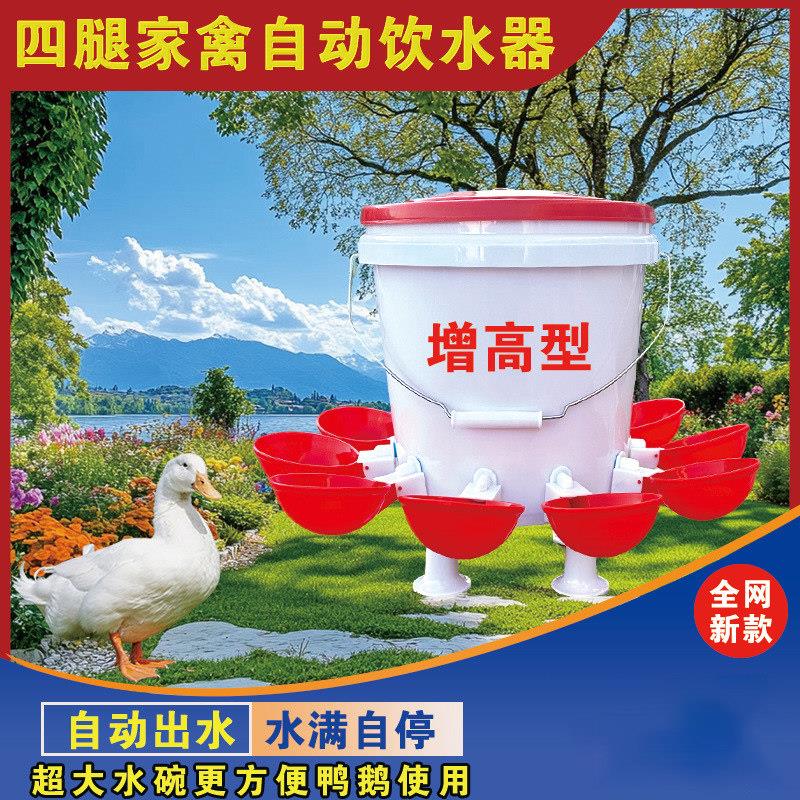 鸡鸭鹅家禽增高自动饮水器宠物鸽子雏鸡喂鸡喝水培殖新款喂鸡神器