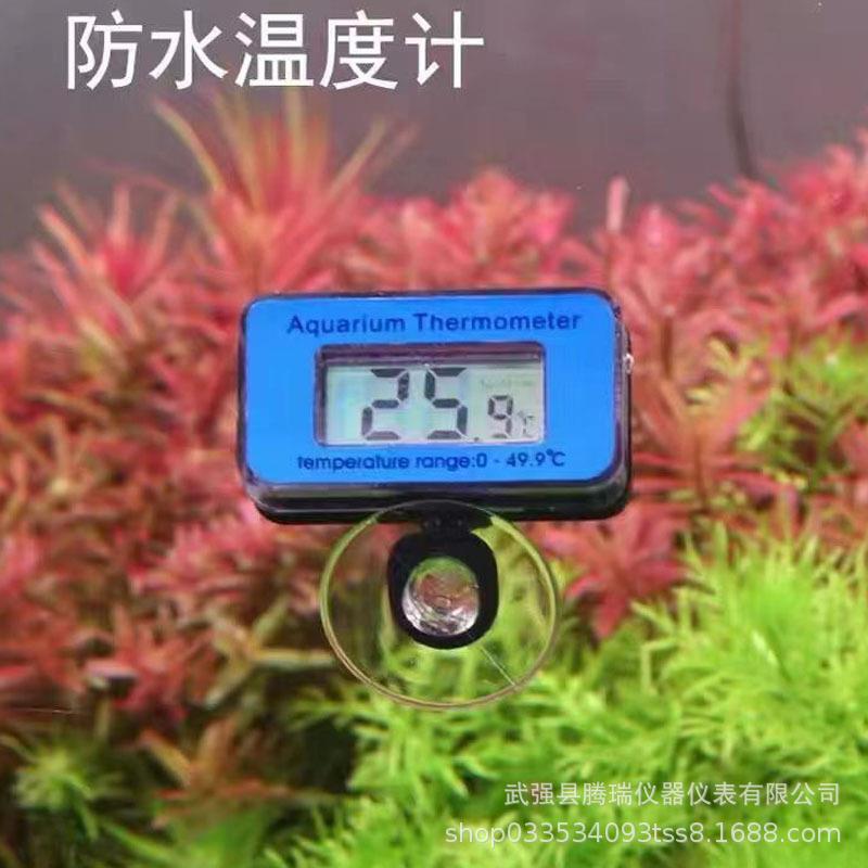 鱼缸温度计电子数显水族箱温度表测水温计缸外防水缸内数字温度计