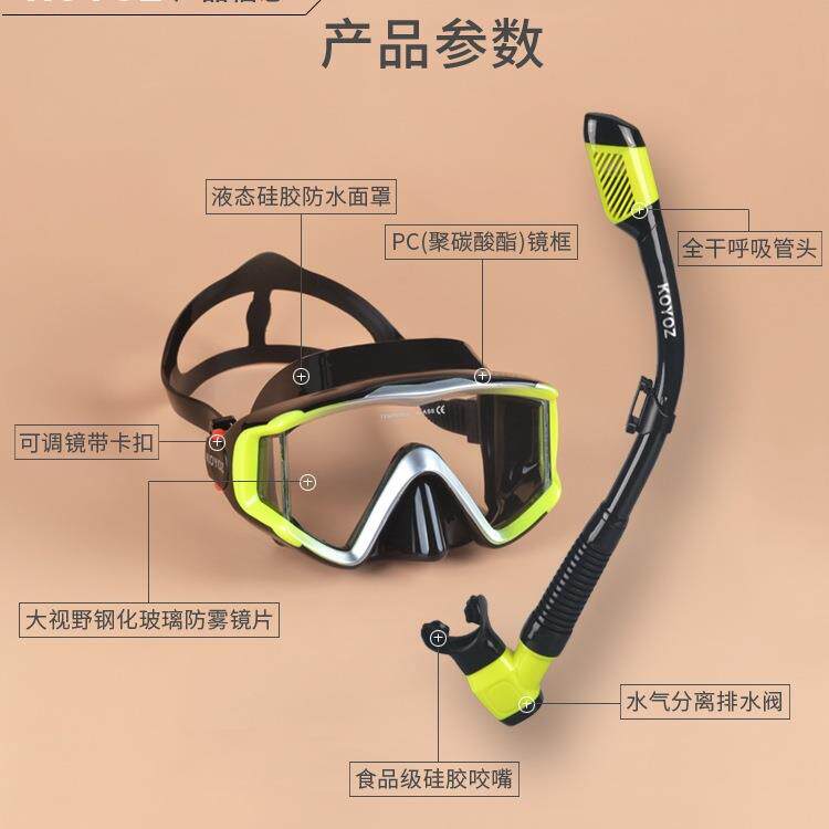浮潜三宝套装潜水镜全干式呼吸管防雾近视面罩护鼻水肺游潜水装备