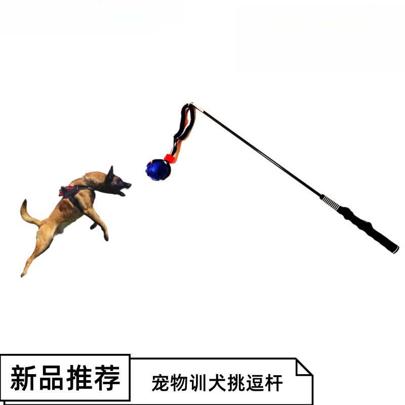 马犬逗引杆训狗工具训犬挑杆逗狗棒德牧马犬训练用品装备狗扑咬