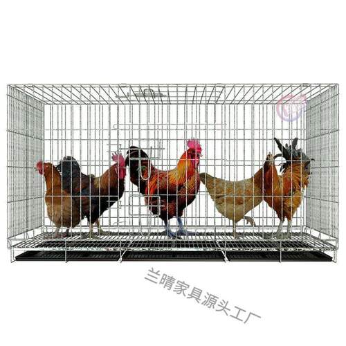 鸡笼子大号特大养殖笼自动清粪鸡笼家用家庭鸡笼多层鸡笼鸭鹅兔笼