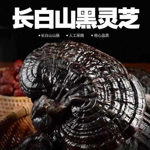 新疆包邮东北黑灵芝东北半野生赤灵芝平盖黑芝灵芝泡水泡酒炖汤