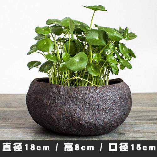 手工粗陶盆 复陶花古器 茶席摆件水盂 怀旧风多肉FOK瓷铜钱草花花
