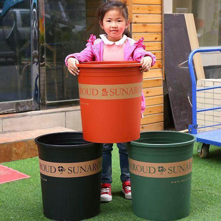 特大号加厚加仑盆 青山塑料盆种树大型落地绿植盆栽月季果树花盆