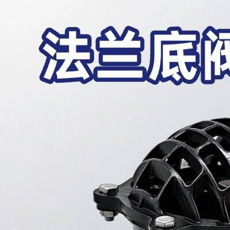 H42X-6/10铸铁法兰底阀止逆阀水泵底阀新型底阀止回阀吸水底阀