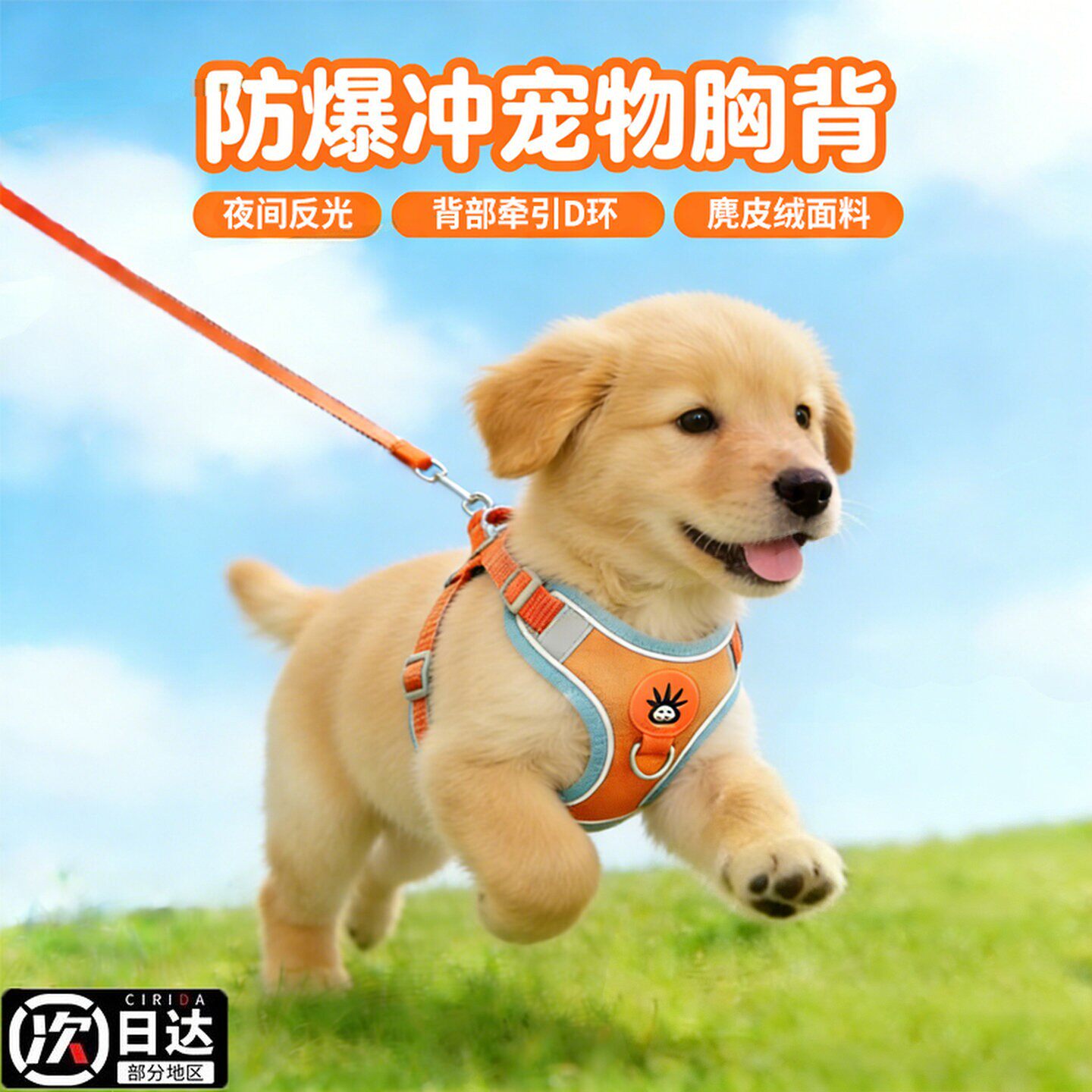 狗狗牵引绳背心式宠物胸抱婴袋遛狗绳中小型柴犬柯基比熊泰迪狗链