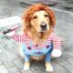Dogs Cosplay Costume Funny Comical Clothes Halloween Out Dog