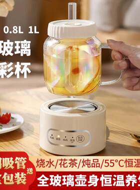 全玻璃电热水杯多功能办公室小型迷你养生杯家用全自动花茶煮茶杯
