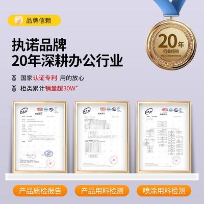 铁皮件储小物柜办公室SMT-251资料柜柜带锁置物收纳文工具柜家用