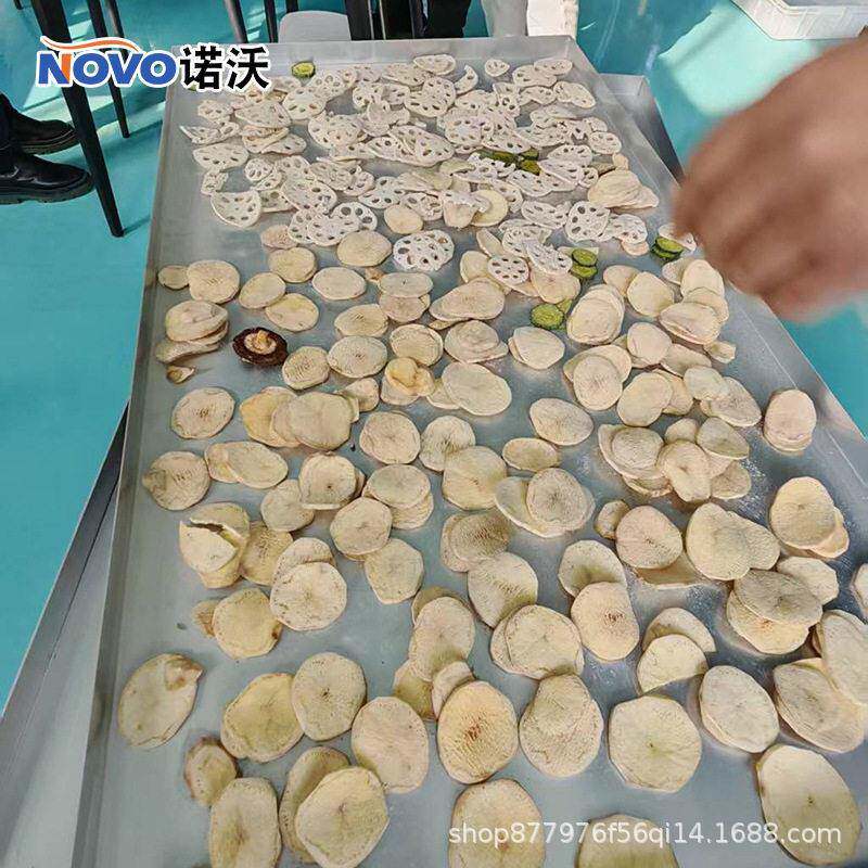 土豆莲藕低温脱水冻干设备材真空冷冻干燥机果蔬脆加工设备